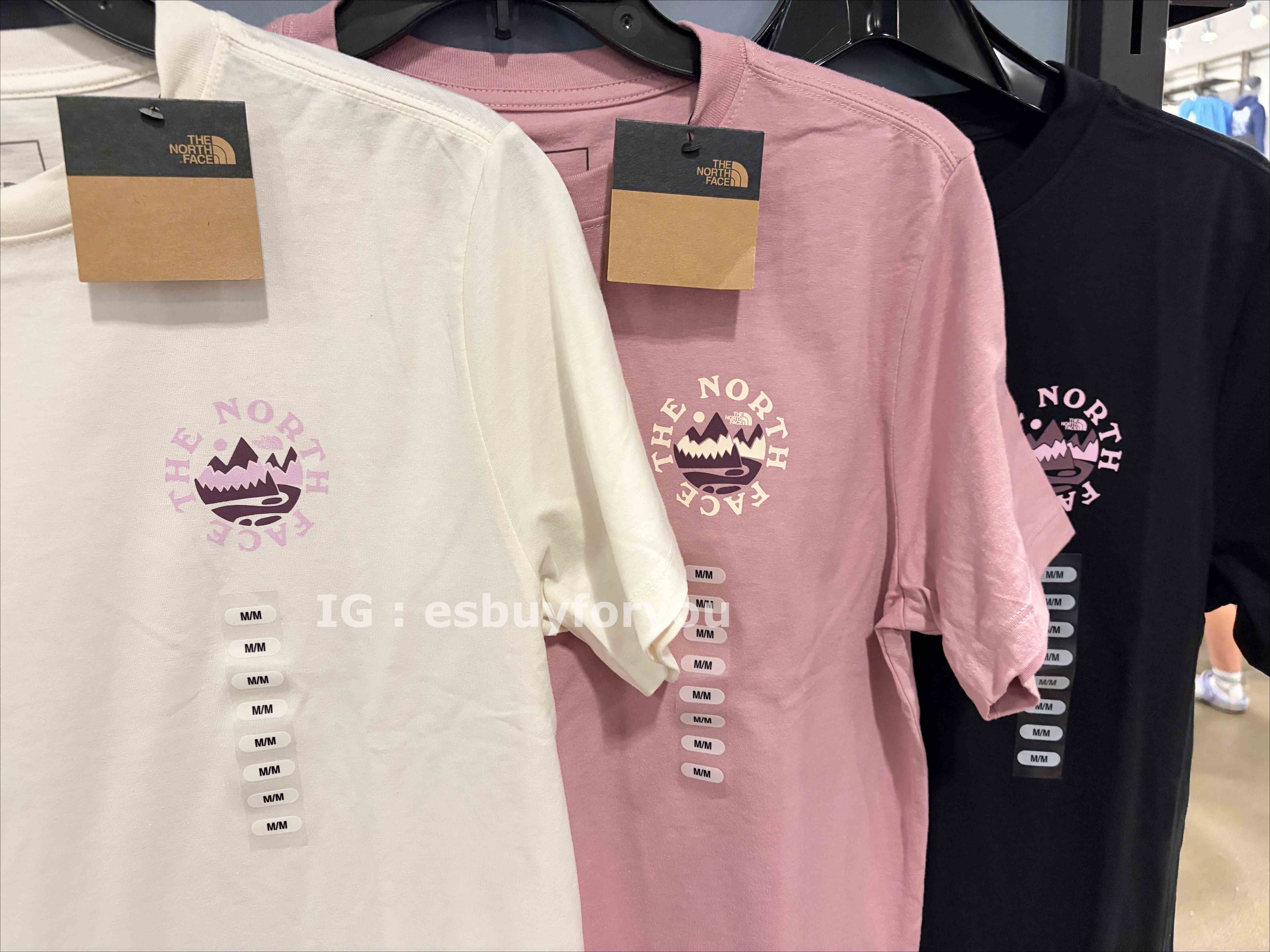 THE NORTH FACE 女大人 山脈小圖 造型 短TEE (正常版) (3色)