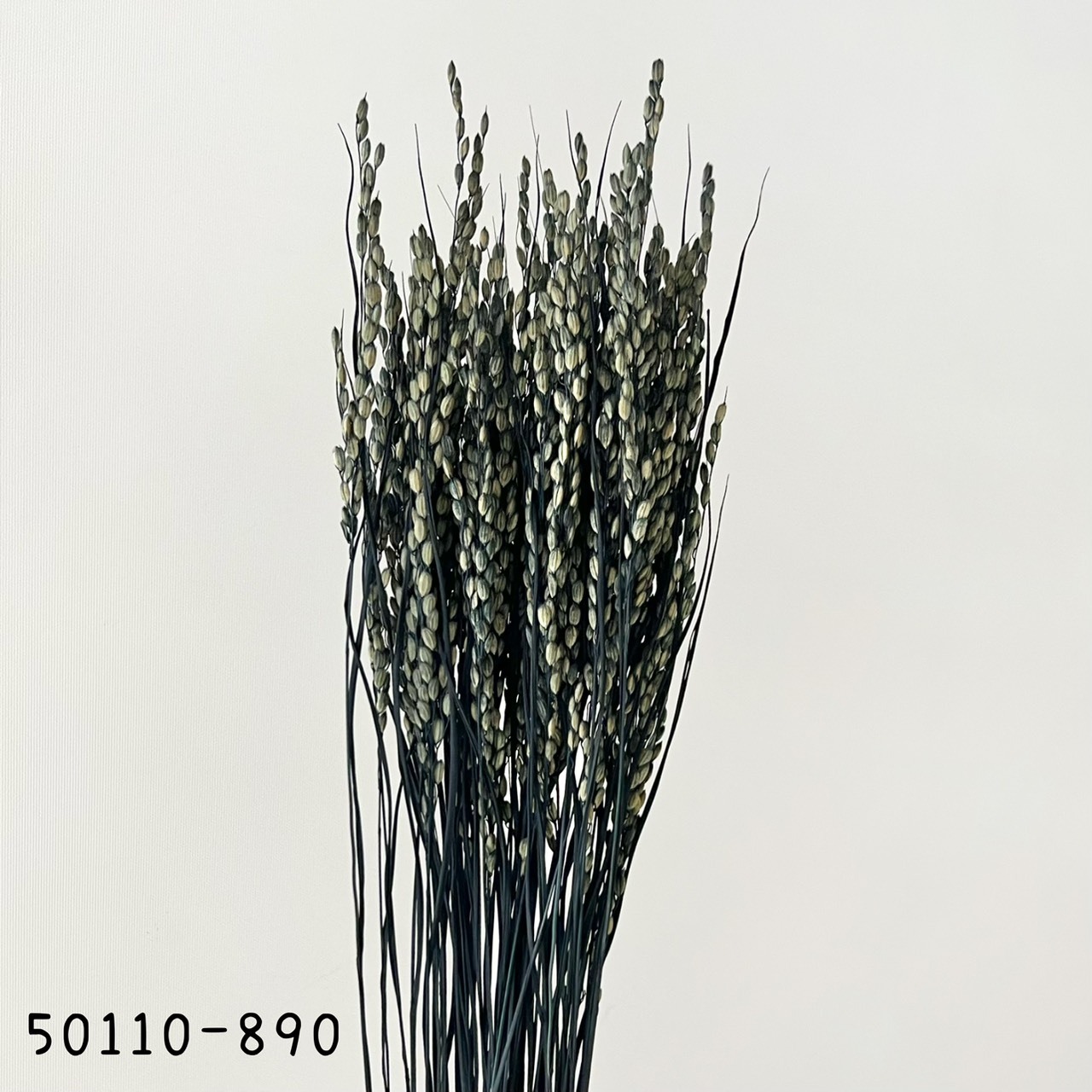 日本乾燥稻穗50110-890