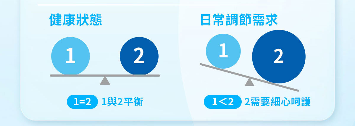 嚴萃生醫 日日敏-黃金三角益生菌 體質‧排便‧呼吸全面調整-10