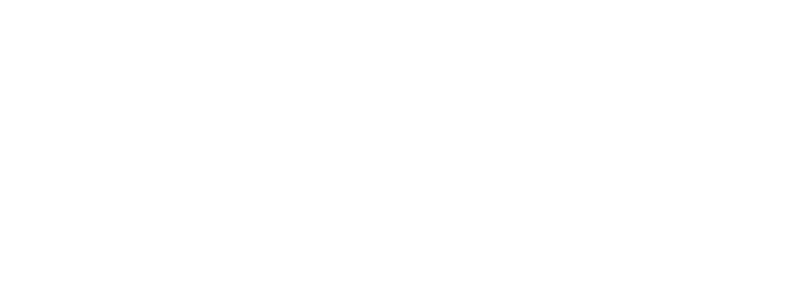 GoFun Sports Logo
