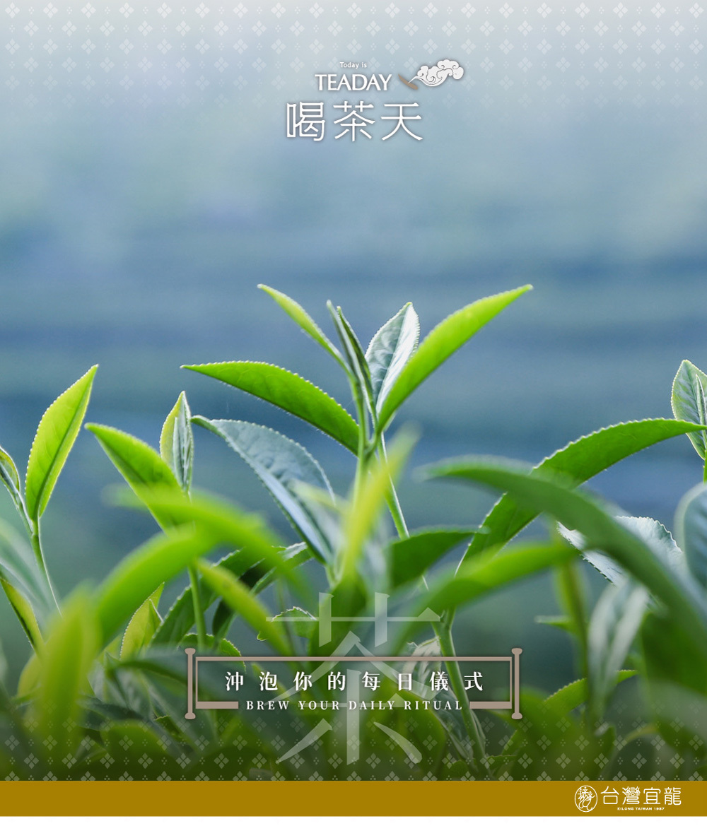 原葉茶包混搭高級禮盒情境圖