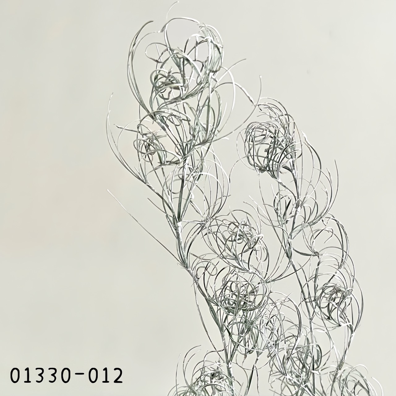 不凋卷絲耳 01330-012