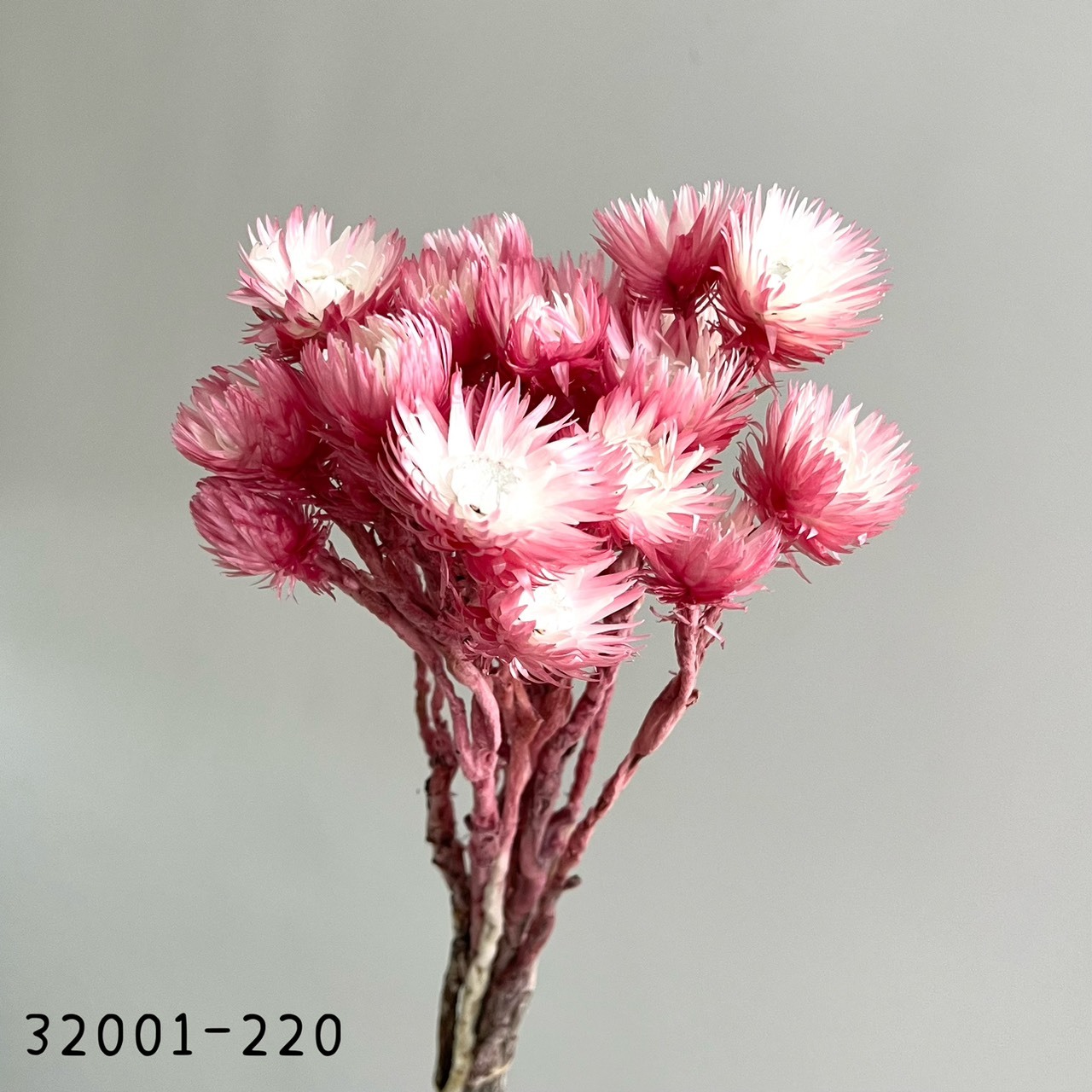32000-220