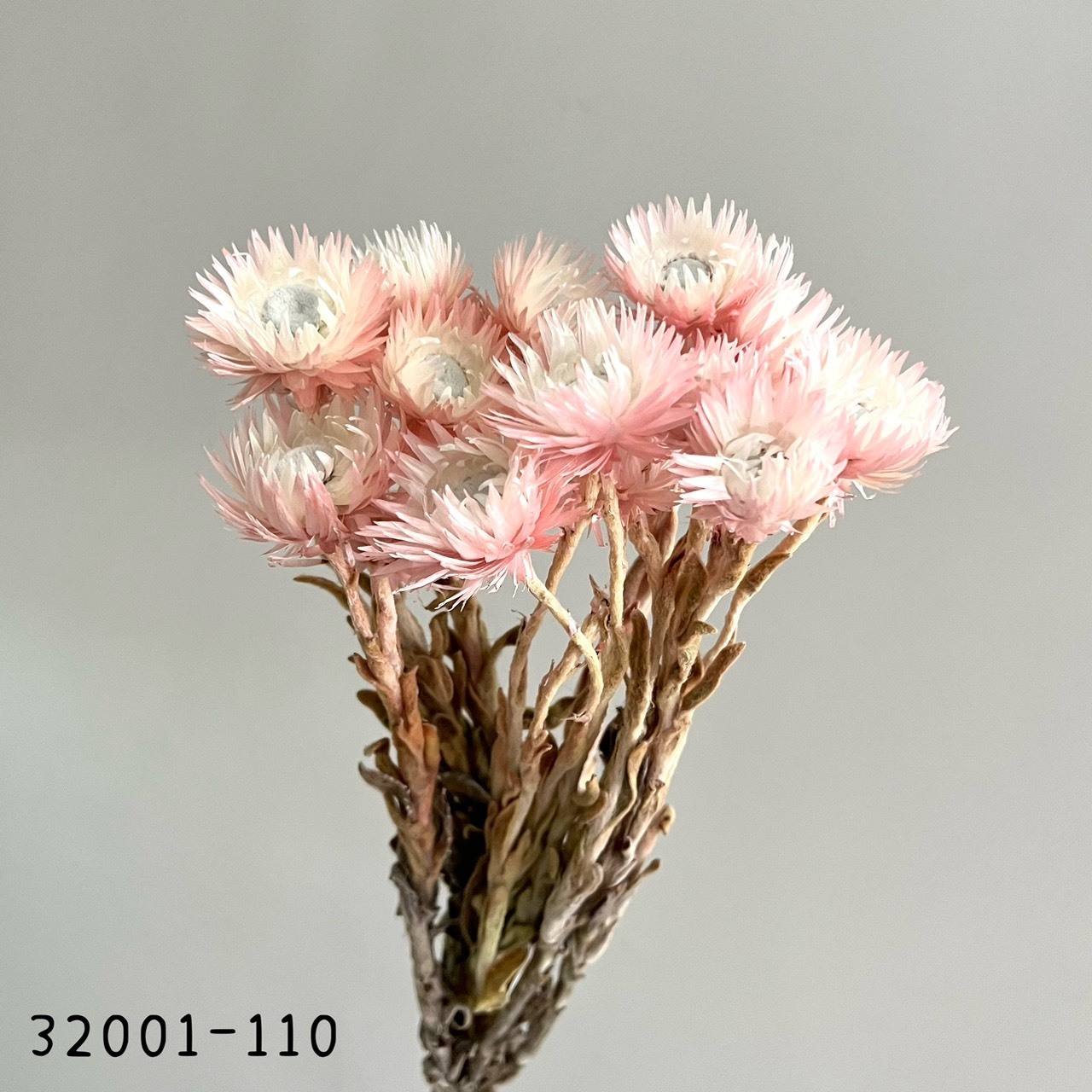 32000-110