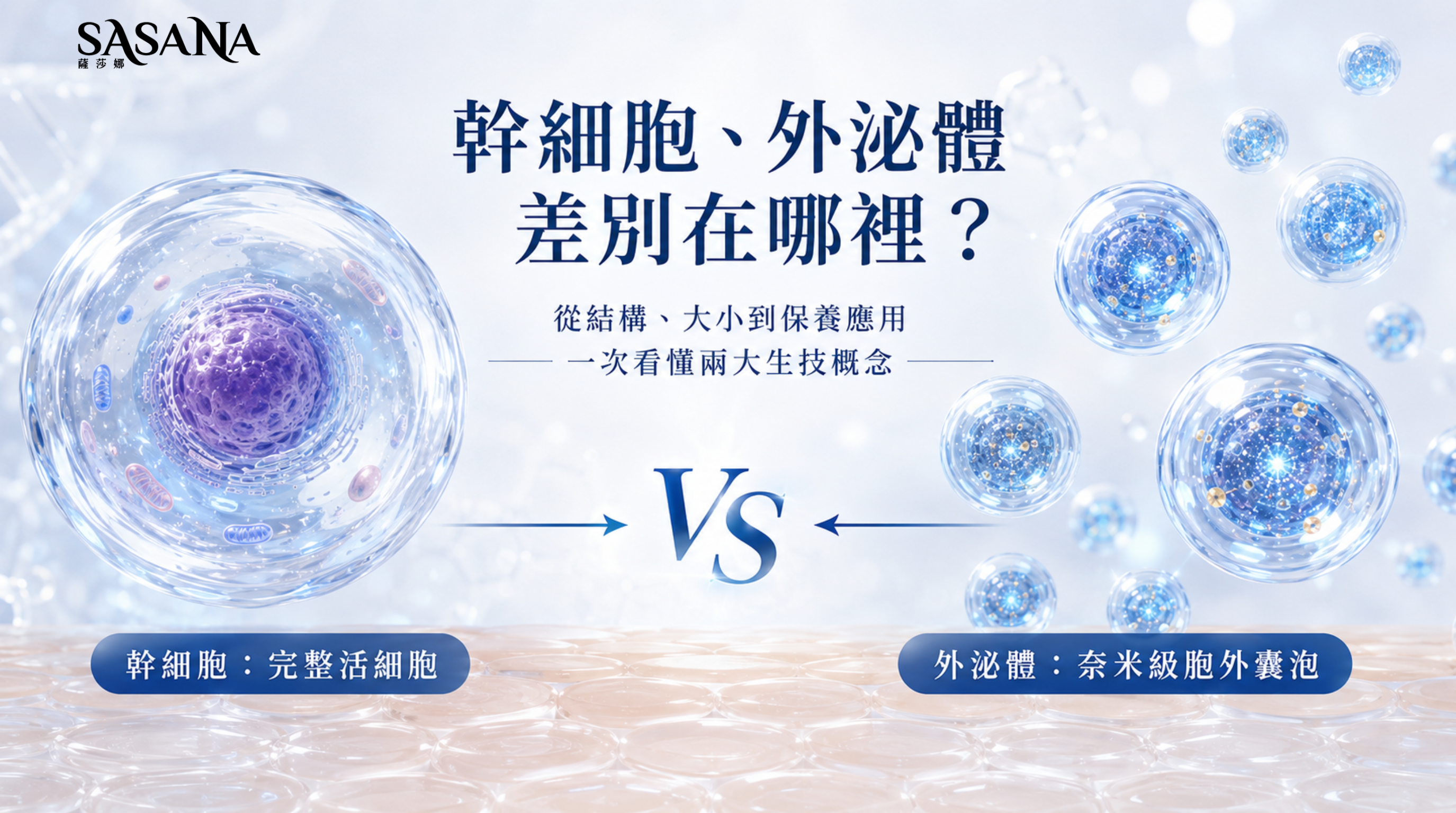 幹細胞與外泌體差異