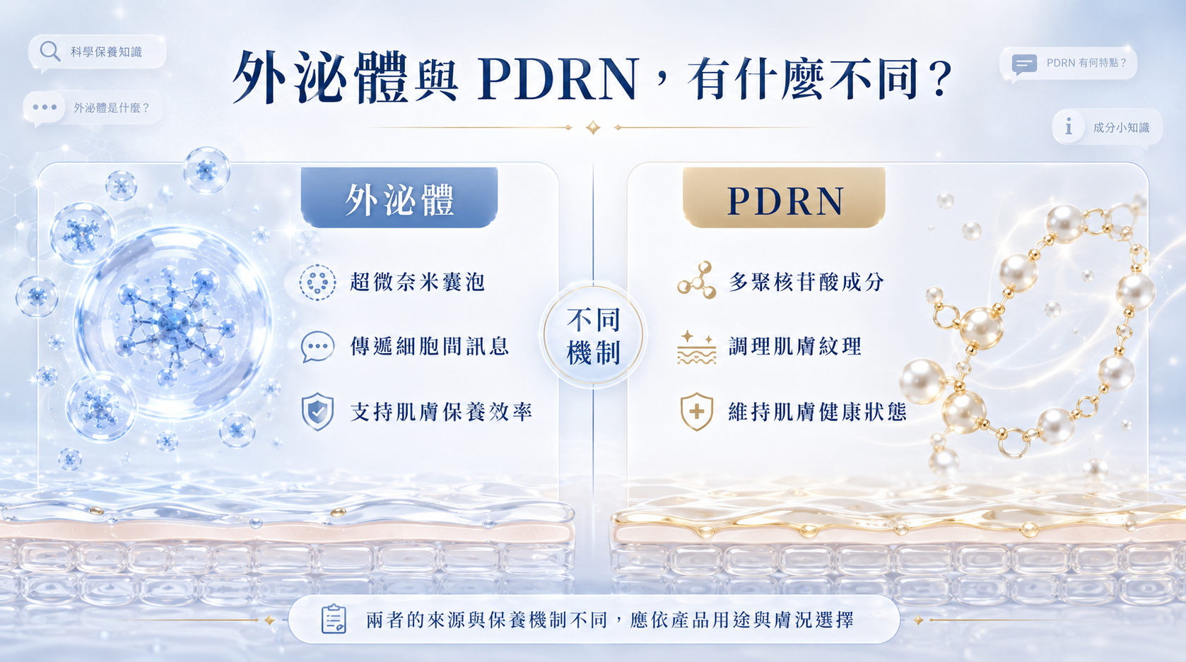 外泌體與 PDRN 解析