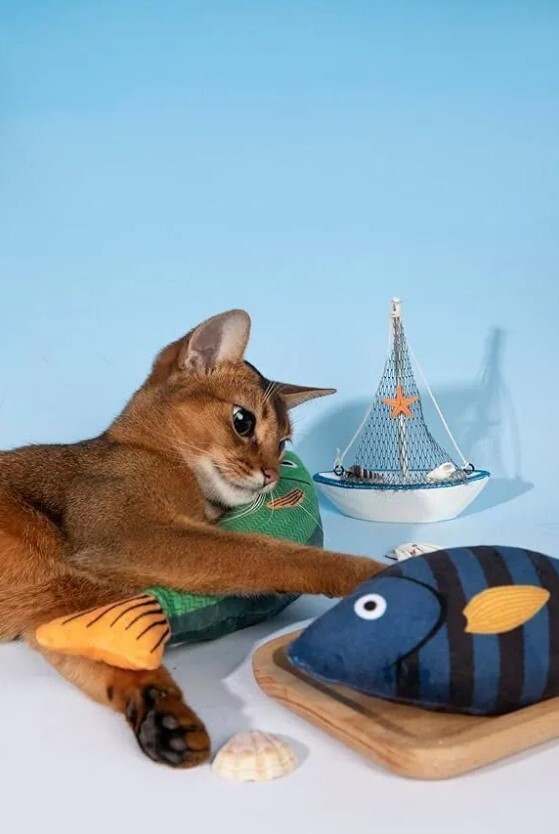 HIDREAM Cat Toys - Catnip Tiger Stripe Sea Bream