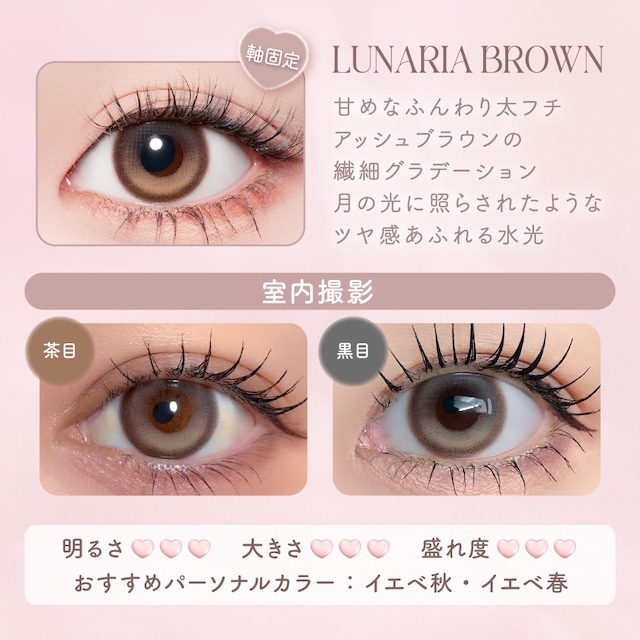 MalunMalun 1 Day (Lunaria Brown)(10片)