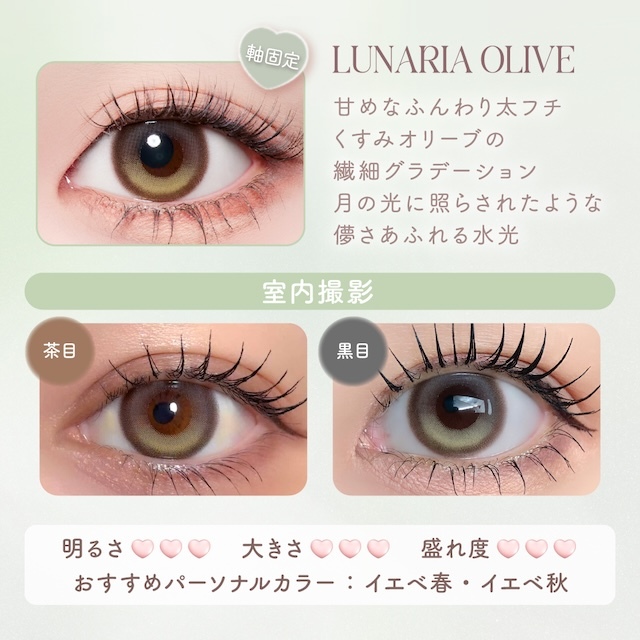 MalunMalun 1 Day (Lunaria Olive)(10片)