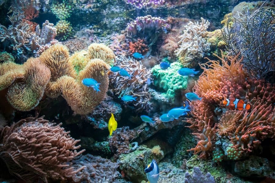 海洋環境