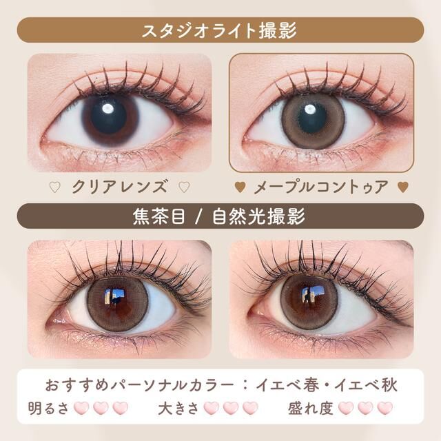 MalunMalun 1 Day (Maple Contour)(10片)