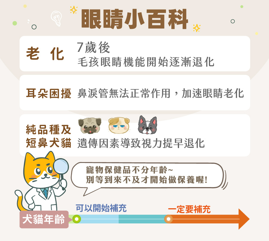 歸毛家族分析老齡貓狗與短鼻犬貓的眼部退化危機,建議提早補給視力寶護眼膠囊,全方位守護寵物視力。