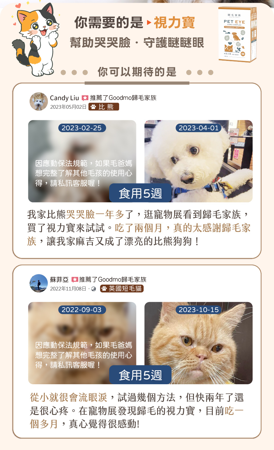 歸毛家族視力寶真實用後好評，展示比熊犬與英國短毛貓食用五週後，有效改善寵物流眼淚與哭哭臉淚痕困擾。