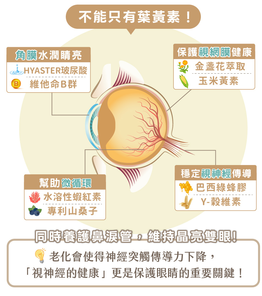 歸毛家族視力寶解析寵物眼球構造,結合玻尿酸、山桑子與綠蜂膠等多重複方,全方位養護犬貓視神經與鼻淚管。
