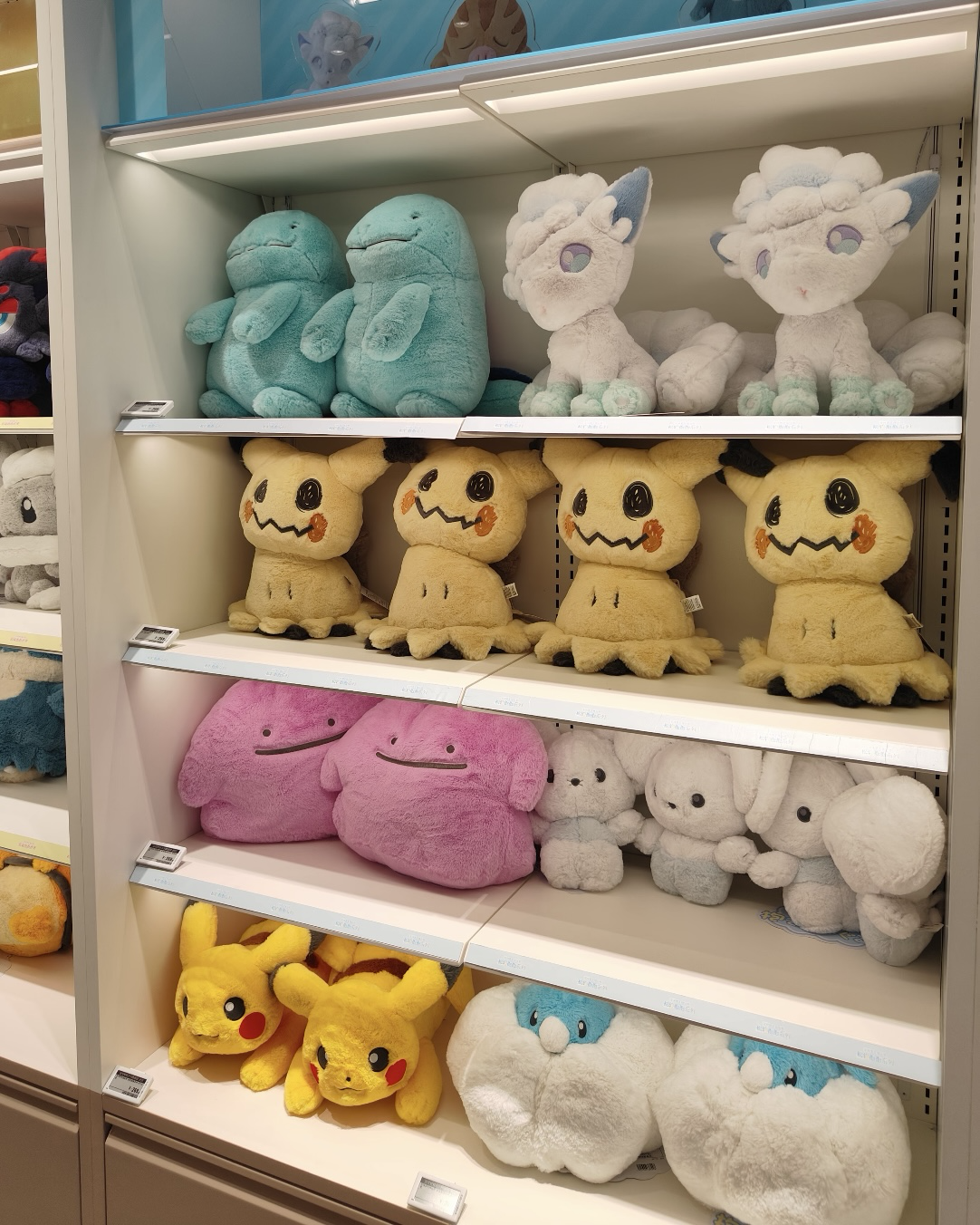 POKÉMON 寶可夢 鬆軟抱抱系列 毛絨 娃娃 共25款
