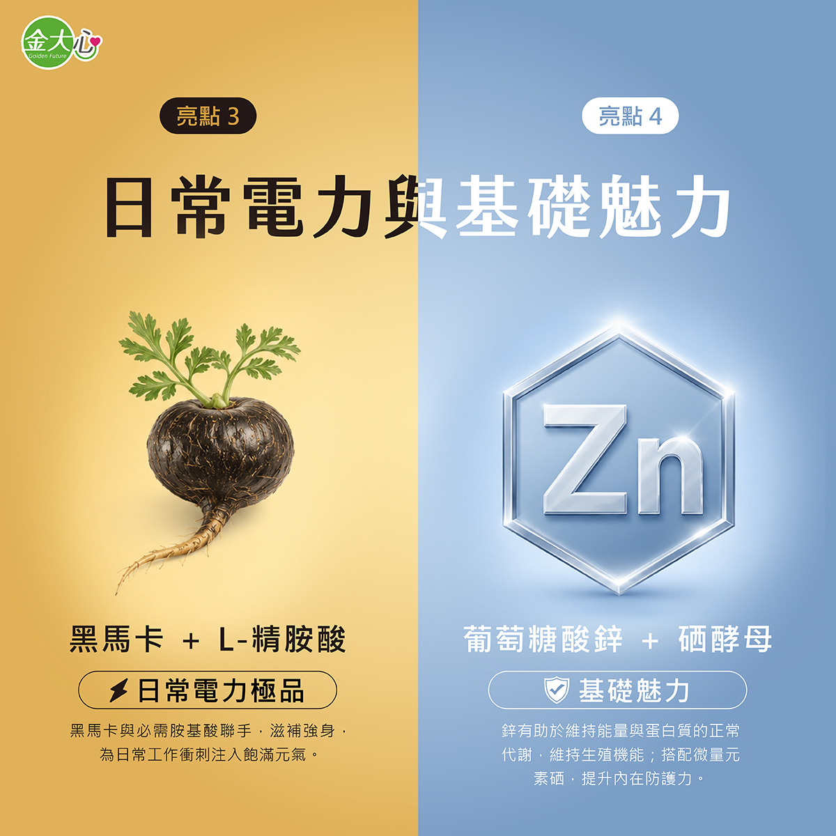黑馬卡、L-精胺酸、葡萄糖酸鋅與硒酵母作為男性日常營養補給成分說明