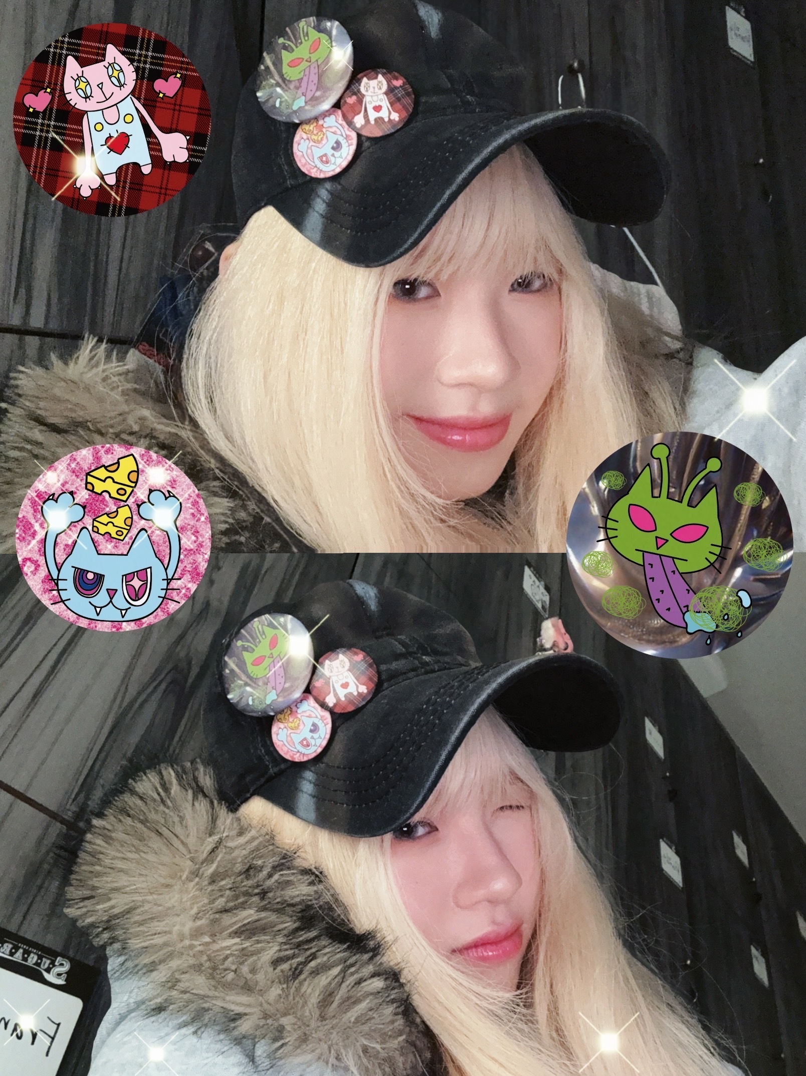LIZ Trippy Cat Pin Set