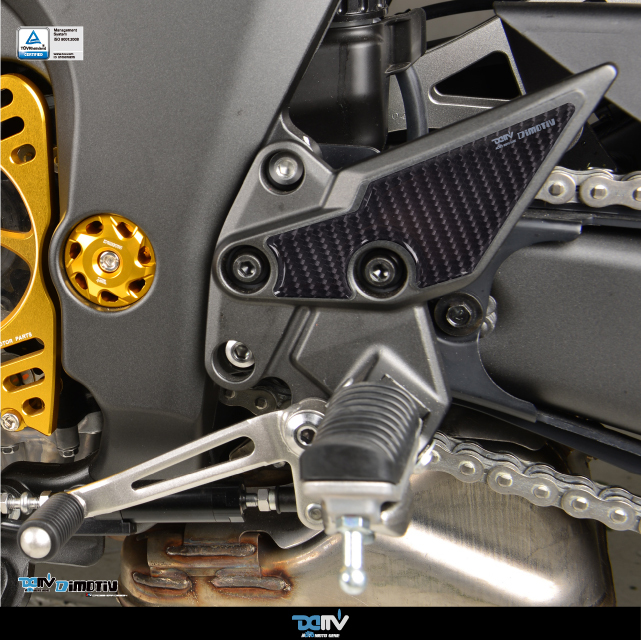 【DIMOTIV】KAWASAKI Z1000SX / Ninja 1000 SX 20-26 腳踏隔板飾貼