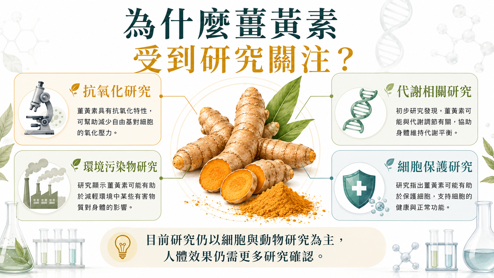 薑黃素研究方向