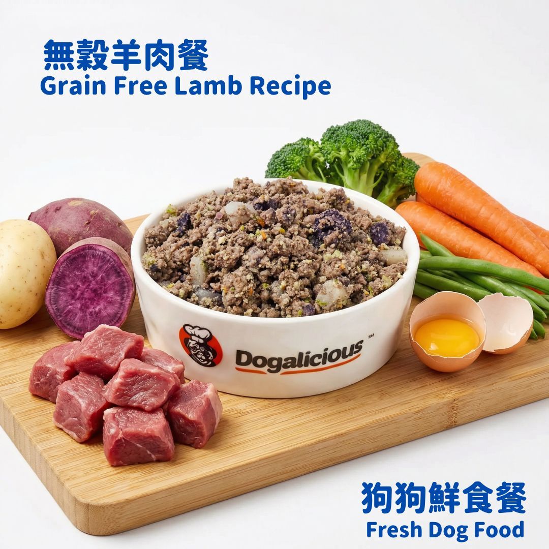 Dogalicious 狗狗鮮食 無穀羊肉餐（急凍-18度) (5 x 50克) (PF116HK5)