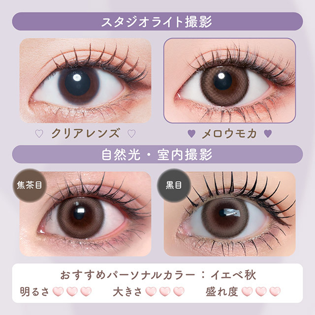MalunMalun Monthly (Mellow Mocha)(2片)