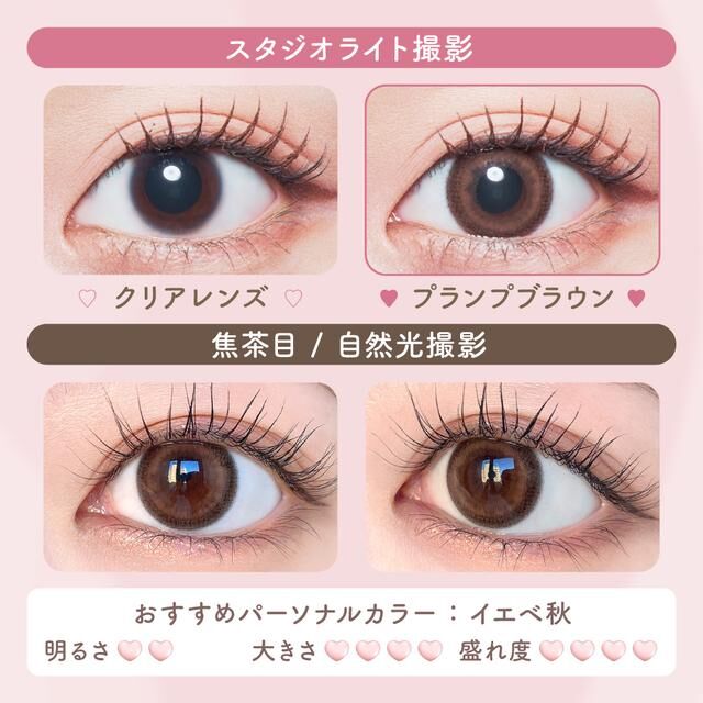 MalunMalun 1 Day (Plump Brown)(10片)