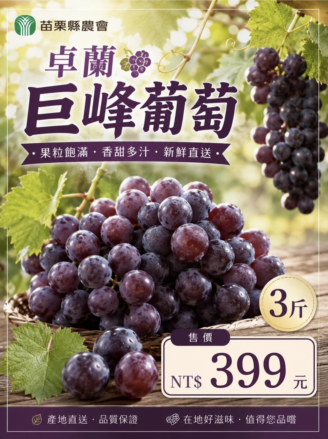 預購【07月28日 (二)陸續到貨】苗栗縣農會💮卓蘭巨峰葡萄【約3斤裝/盒】