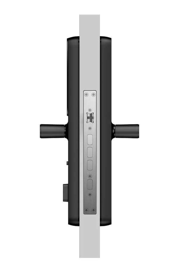 Lockin 鹿客 X9 七合一指紋把手電子鎖 (黑色)