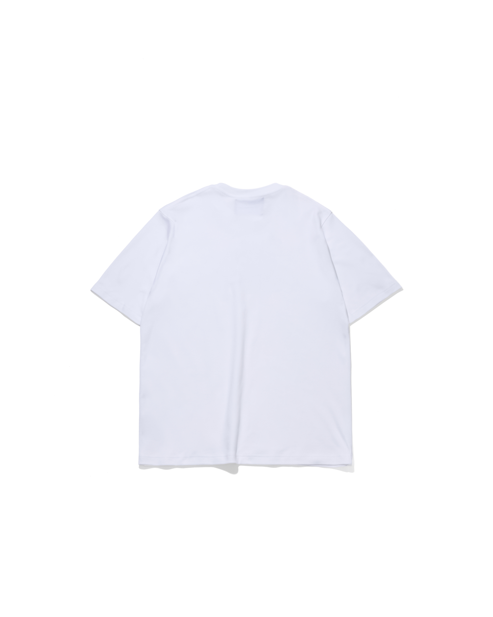 AES CORE SKULL LOGO TEE
