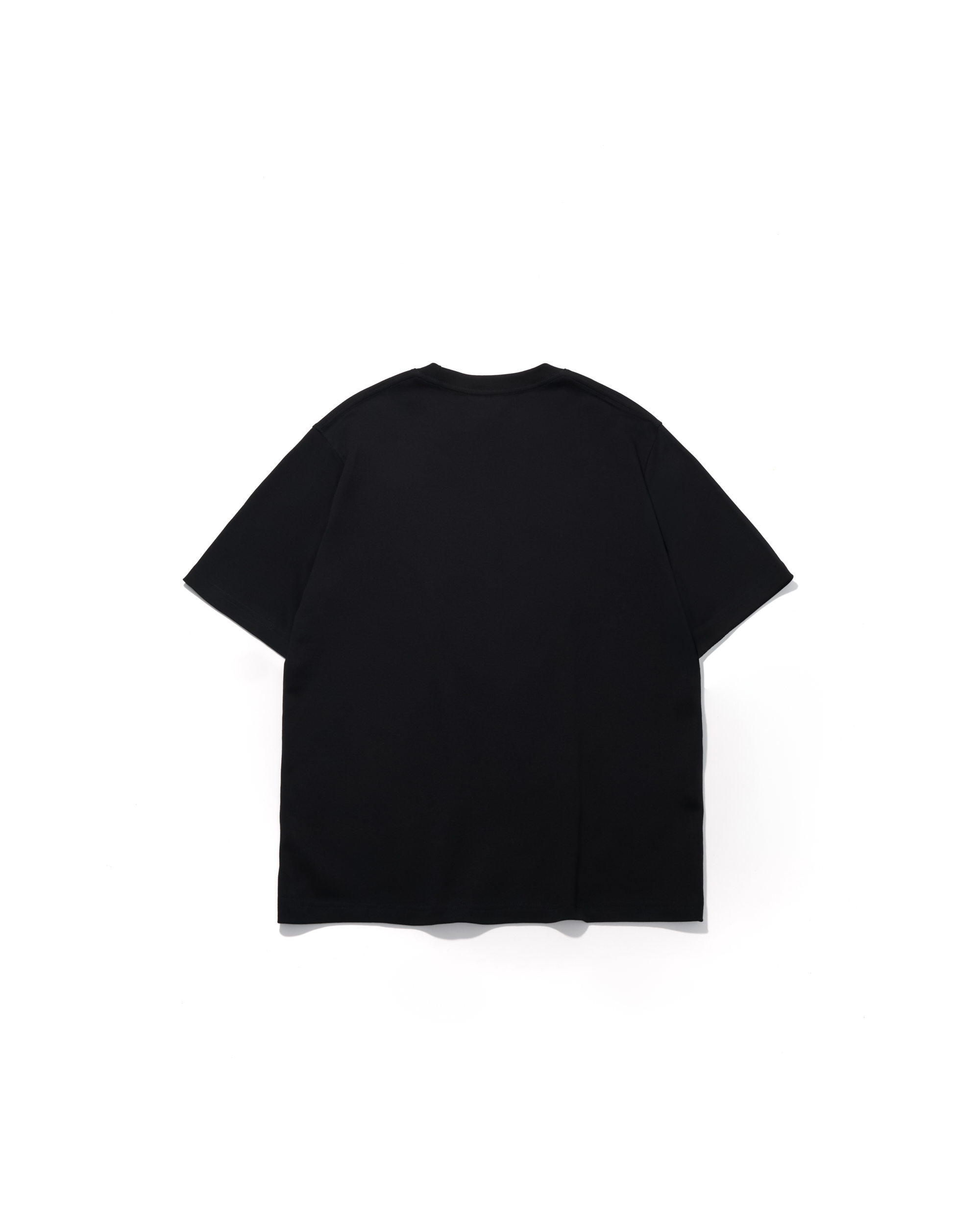 AES CORE SKULL LOGO TEE