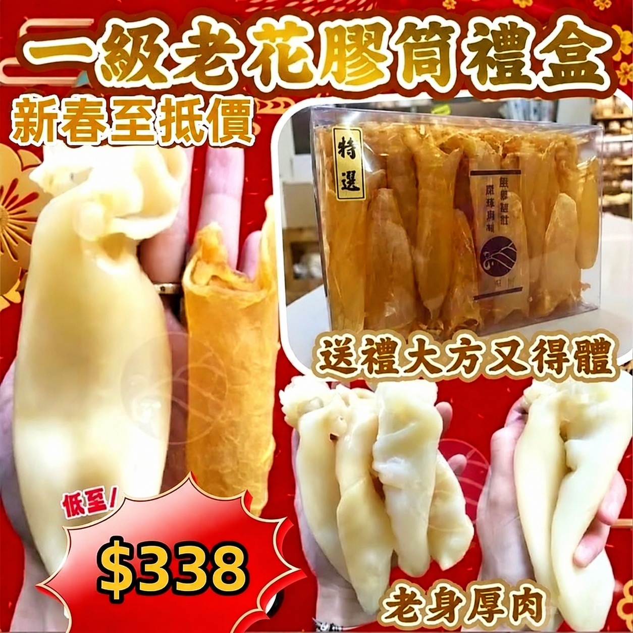 H20589 一級老花膠筒禮盒（70頭約18-20隻）