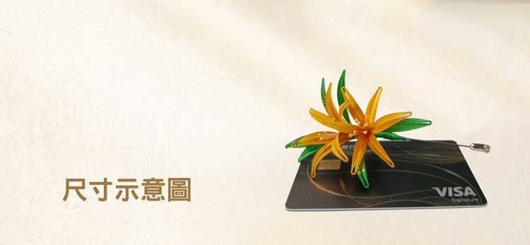 春仔花《金萱花》與信用卡尺寸比較。
