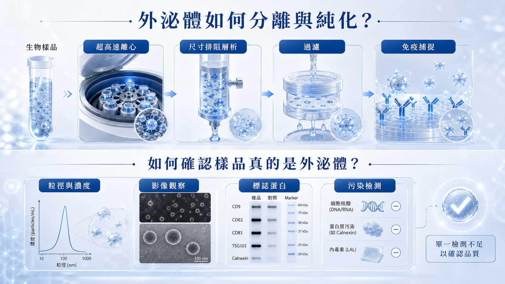 外泌體分離純化方法與粒徑、影像、標誌蛋白及污染檢測