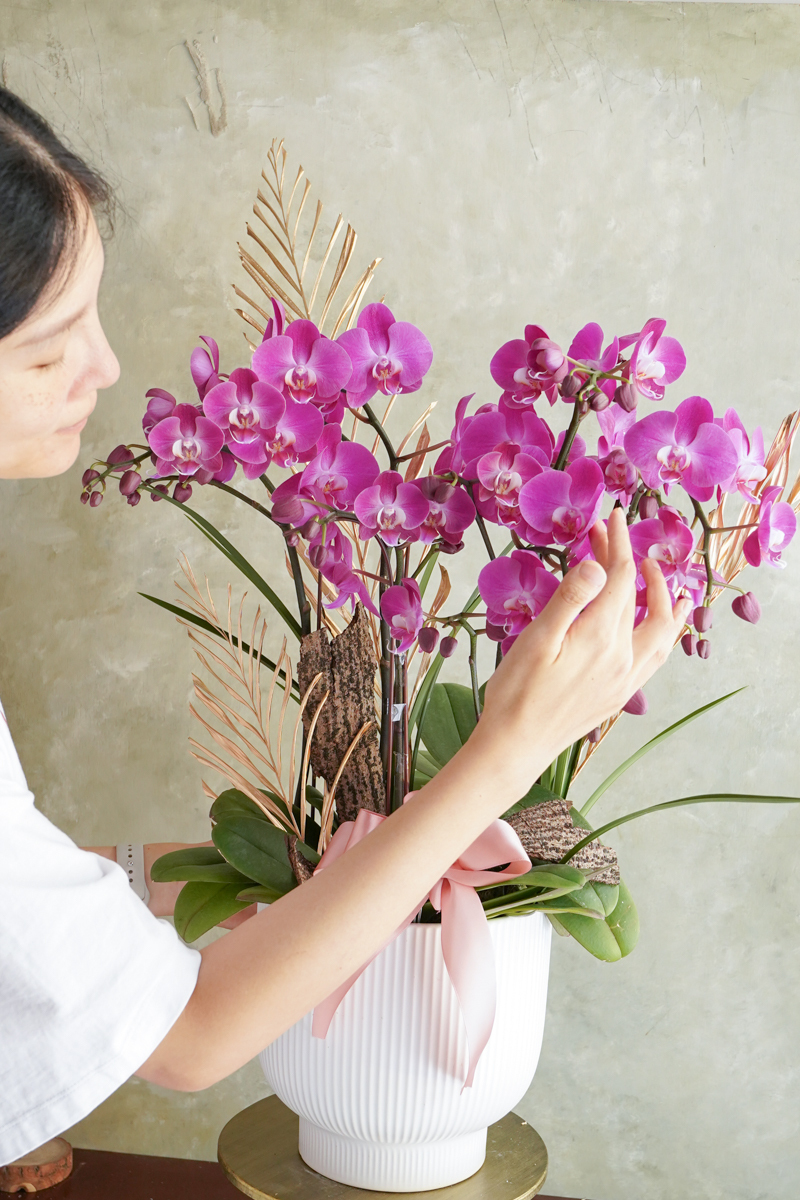 蘭花推薦台北,蘭花送花外送服務,蘭花配送,台北蘭花推薦,蘭花外送推薦