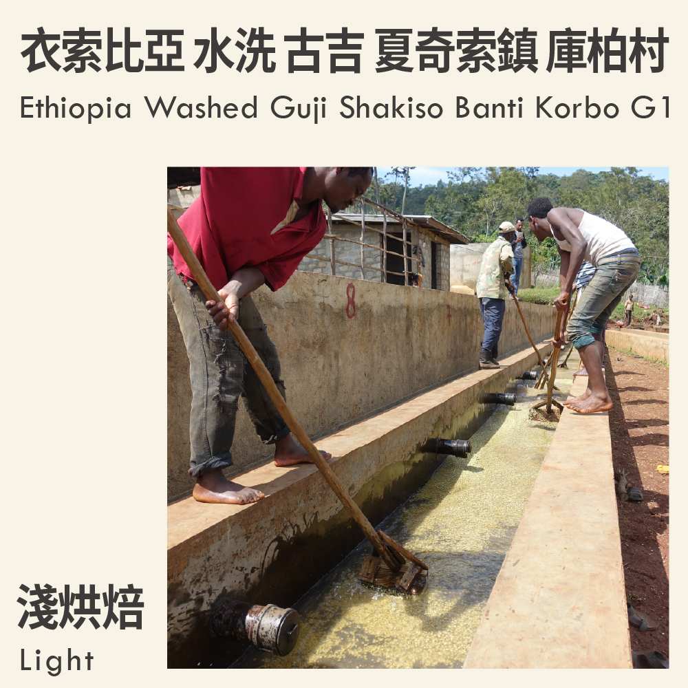 Ethiopia Washed Guji Shakiso Banti Korbo G1