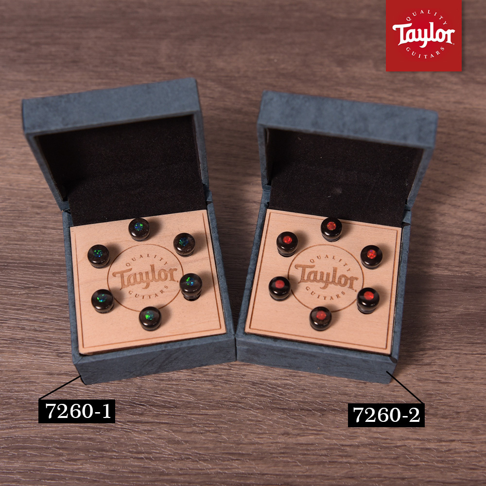 Taylor Water Buffalo Bone Bridge Pins 精品弦釘 水牛骨 7260