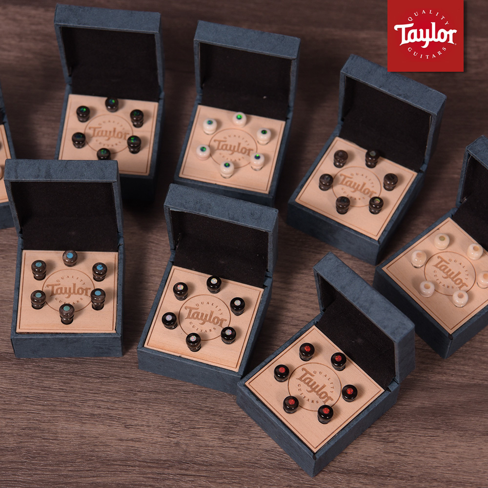 Taylor Water Buffalo Bone Bridge Pins 精品弦釘 水牛骨 7260