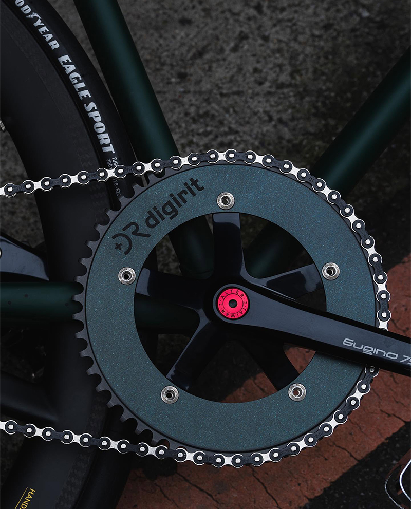Digirit Carbon Chainring-UD