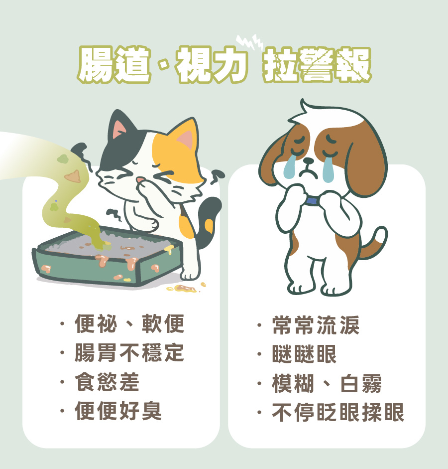 歸毛家族圖解犬貓腸胃與視力警報，貓狗軟便、貓狗流淚等常見徵兆，宣導寵物保健重要性。