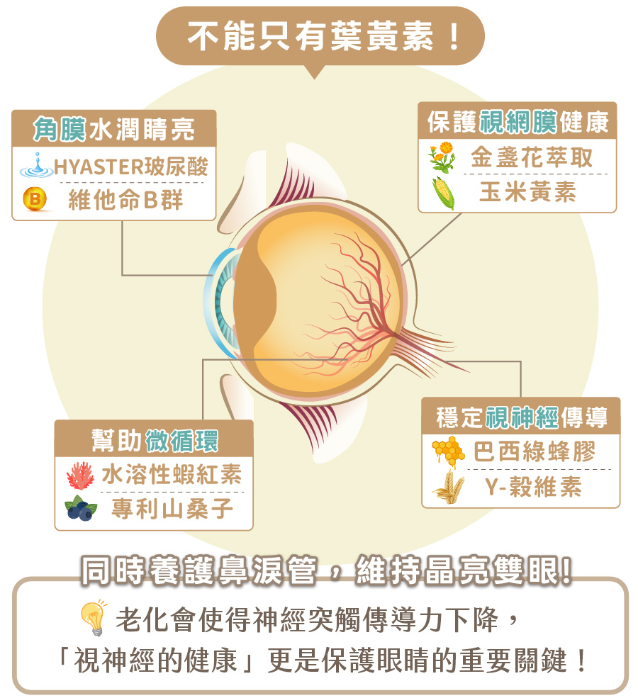歸毛家族視力寶，結合玻尿酸、山桑子與綠蜂膠等多重複方，全方位養護犬貓視神經與鼻淚管。