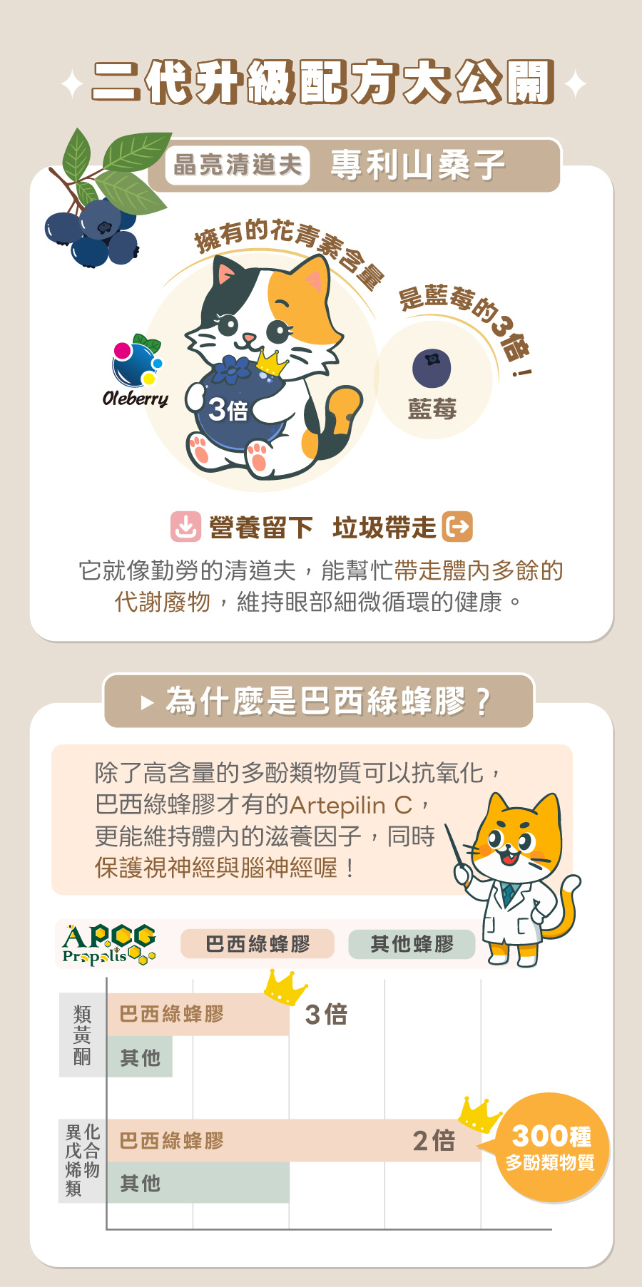 歸毛家族視力寶二代升級，專利山桑子花青素達藍莓三倍，扮演晶亮清道夫維持犬貓眼部微循環