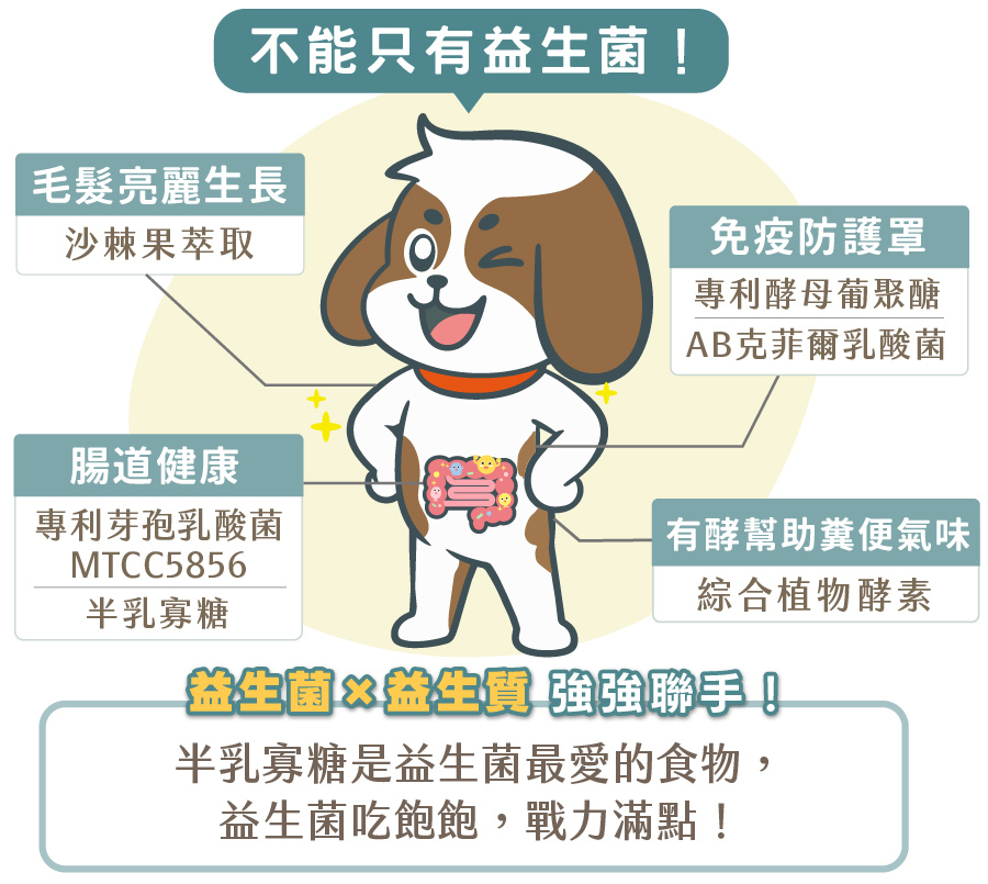 歸毛家族圖解益生菌與益生質半乳寡糖強強聯手，添加專利芽孢乳酸菌及沙棘果，全方位呵護犬貓腸胃與免疫。