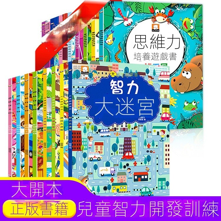 智力開發 大迷宮遊戲書 兒童專註力培養  訓練迷宮 遊戲書 迷宮遊戲書 大腦說明書