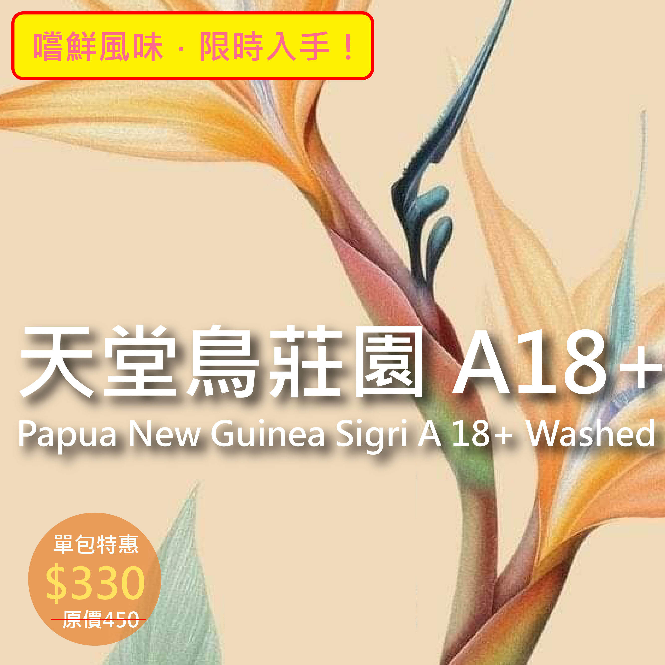 ★單包特惠★ 新幾內亞 天堂鳥莊園 A18+  (半磅)
