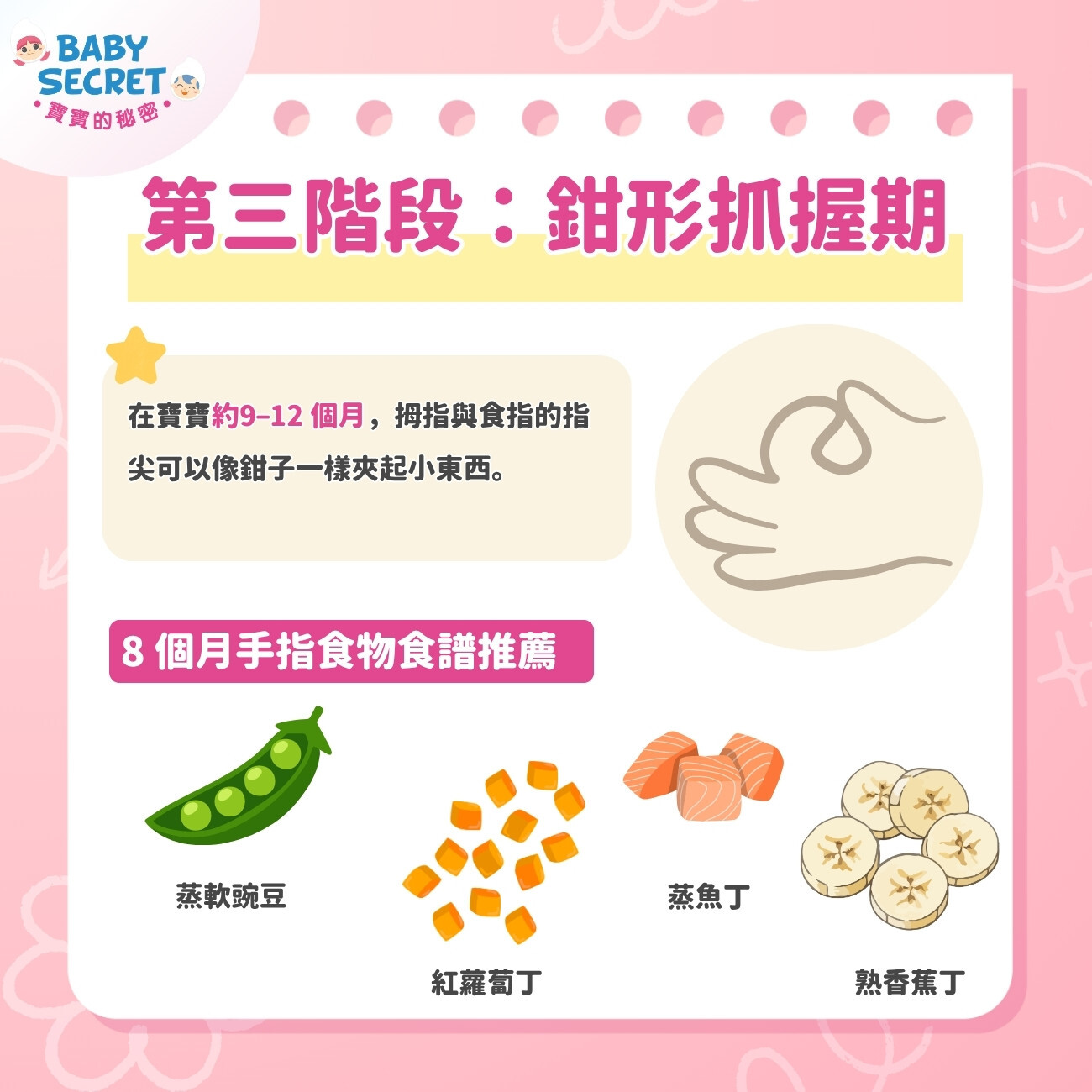 第三階段：鉗形抓握期（約 9–12 個月）