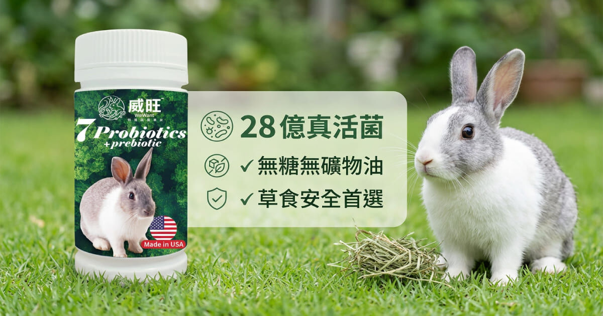 威旺WeWant兔子超能七菌益生菌-兔子換毛期天然排毛與盲腸保健推薦