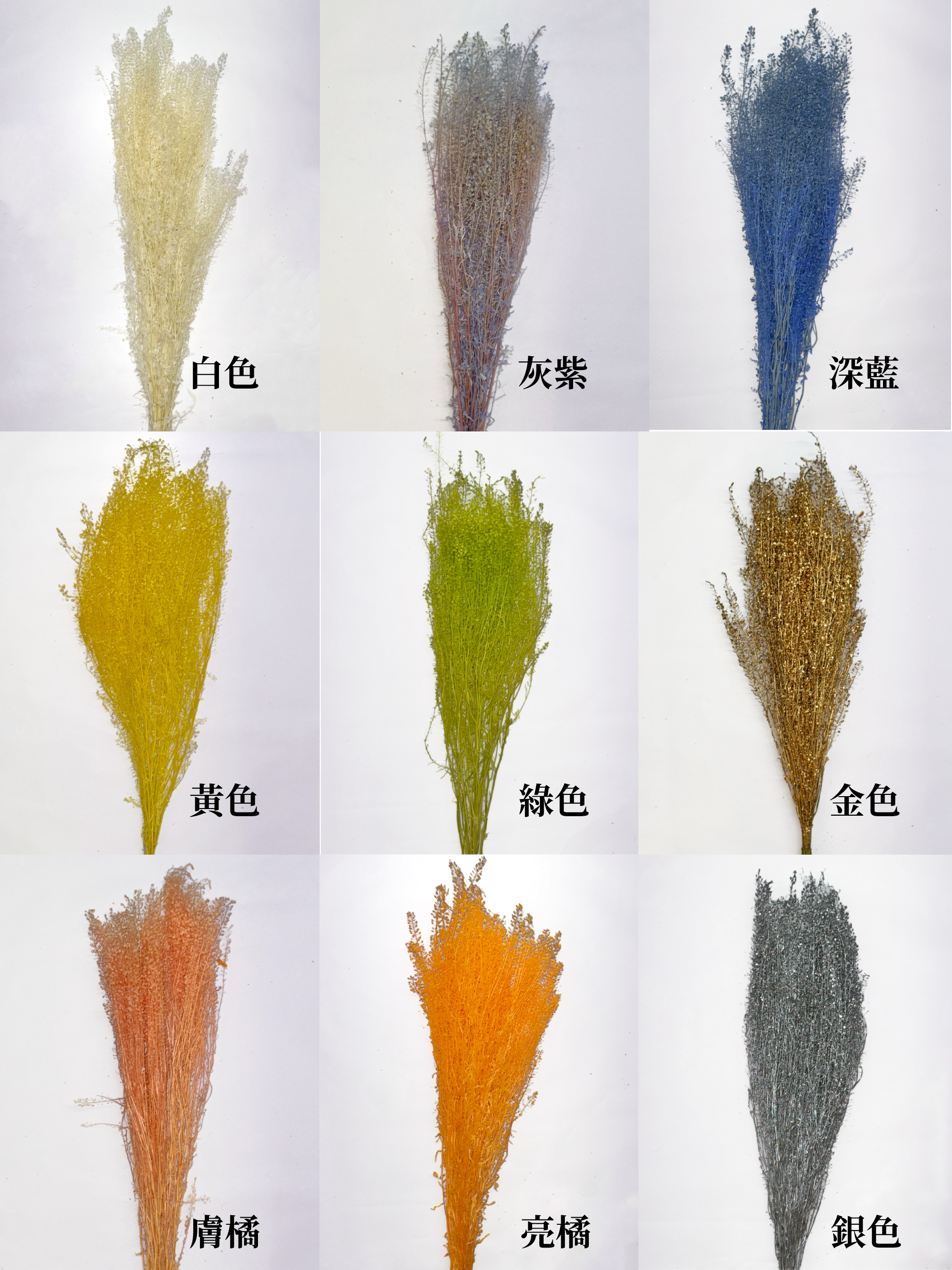 永生綠鈴草