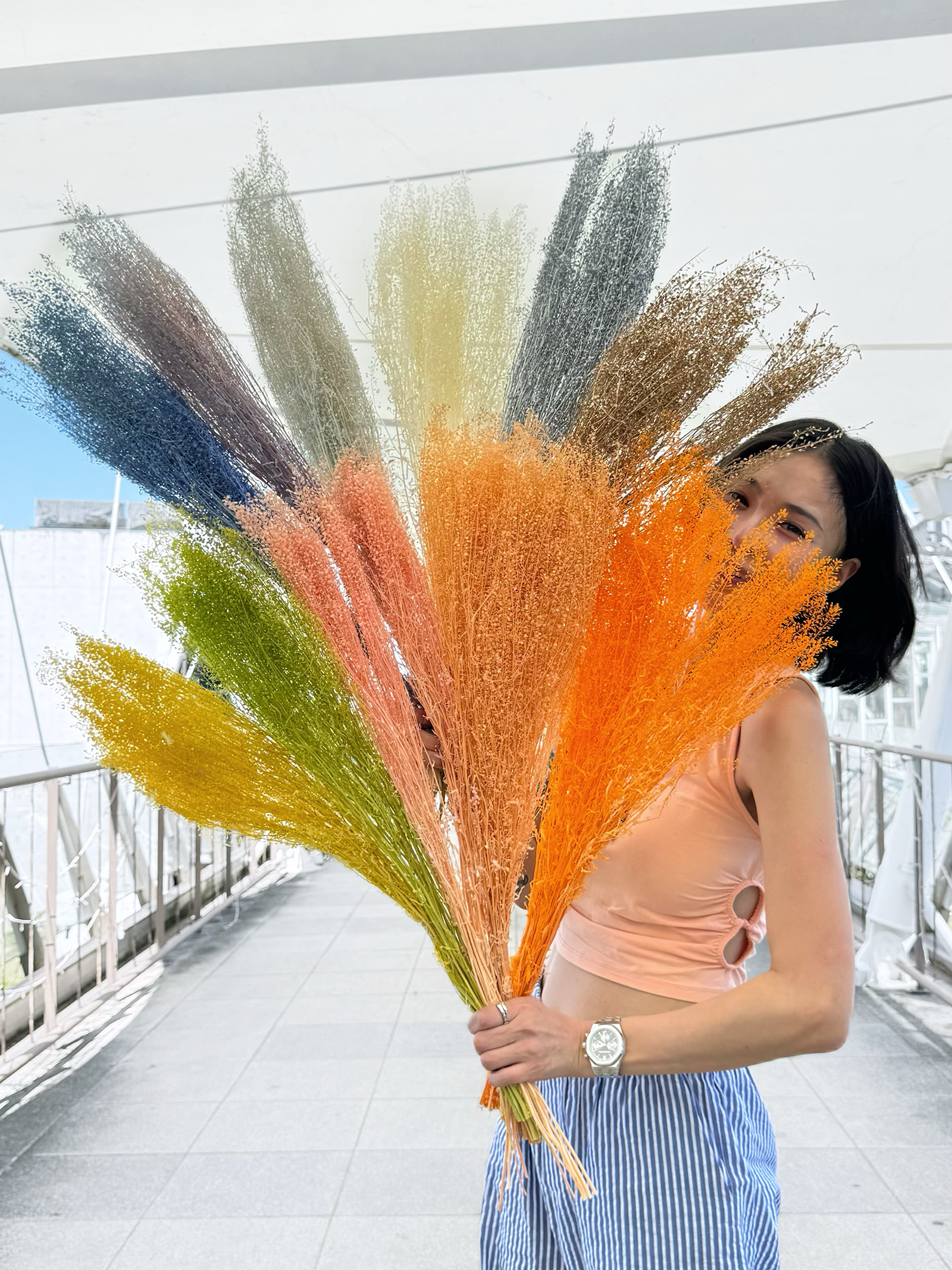 永生綠鈴草