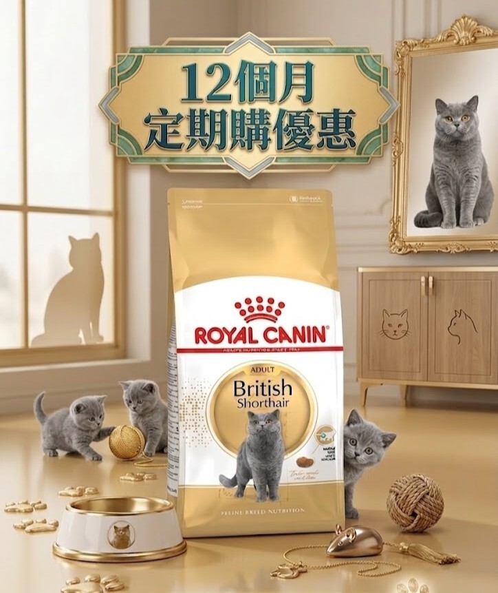 Royal Canin BSH 純種系列 英短成貓專屬配方10kg【定期購 - 12個月】