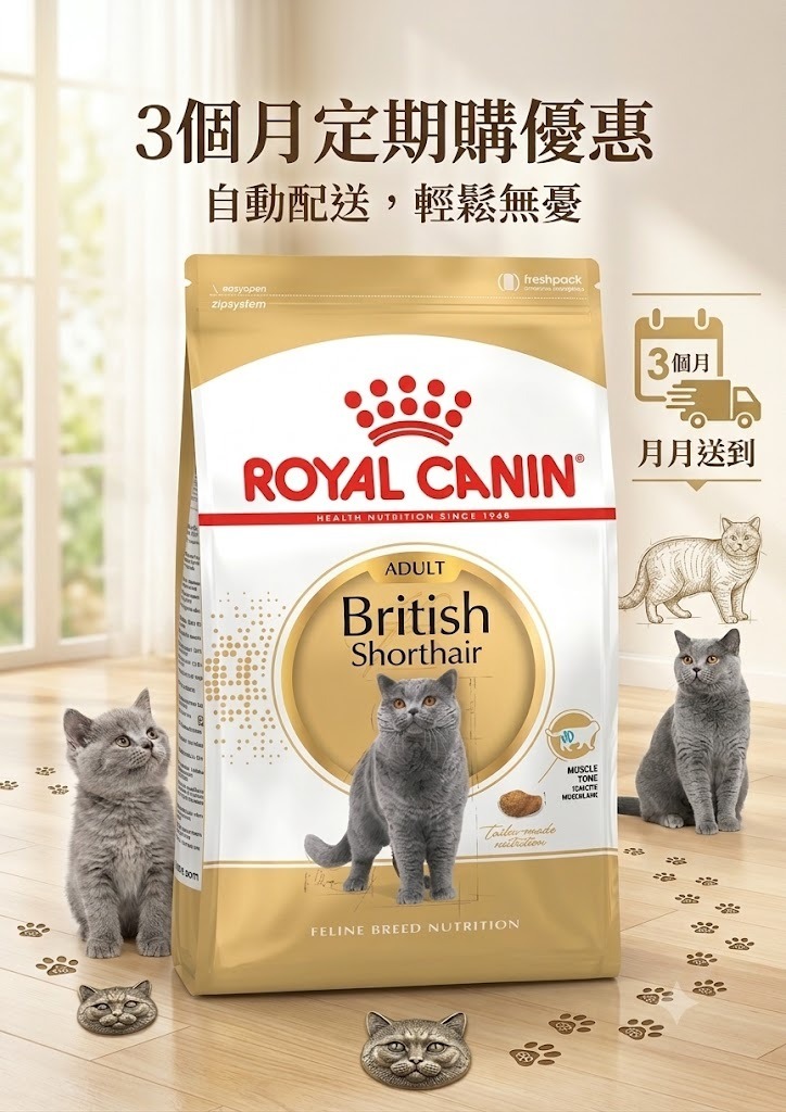 Royal Canin BSH 純種系列 英短成貓專屬配方10kg【定期購 - 3個月】